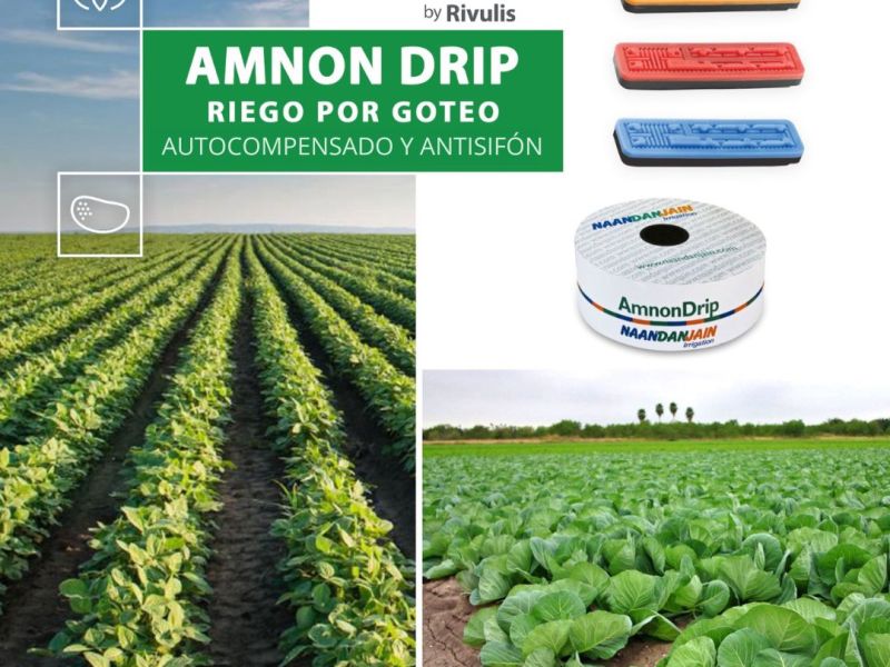 AMNON PC/AS/ND
