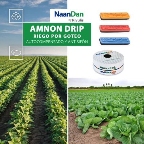 AMNON PC/AS/ND