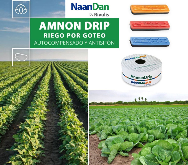 AMNON PC/AS/ND